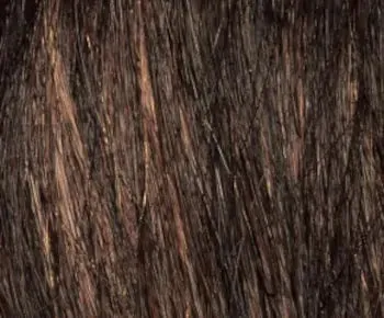 Accessories_Envy_Ladies Wigs Coco wig - Envy Collection