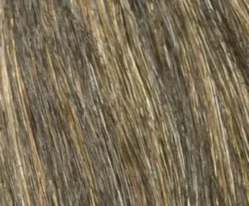 Accessories_Envy_Ladies Wigs Madison wig - Envy Collection