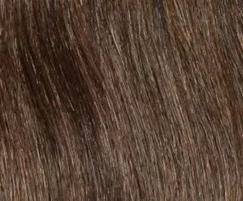 Accessories_Envy_Ladies Wigs Madison wig - Envy Collection