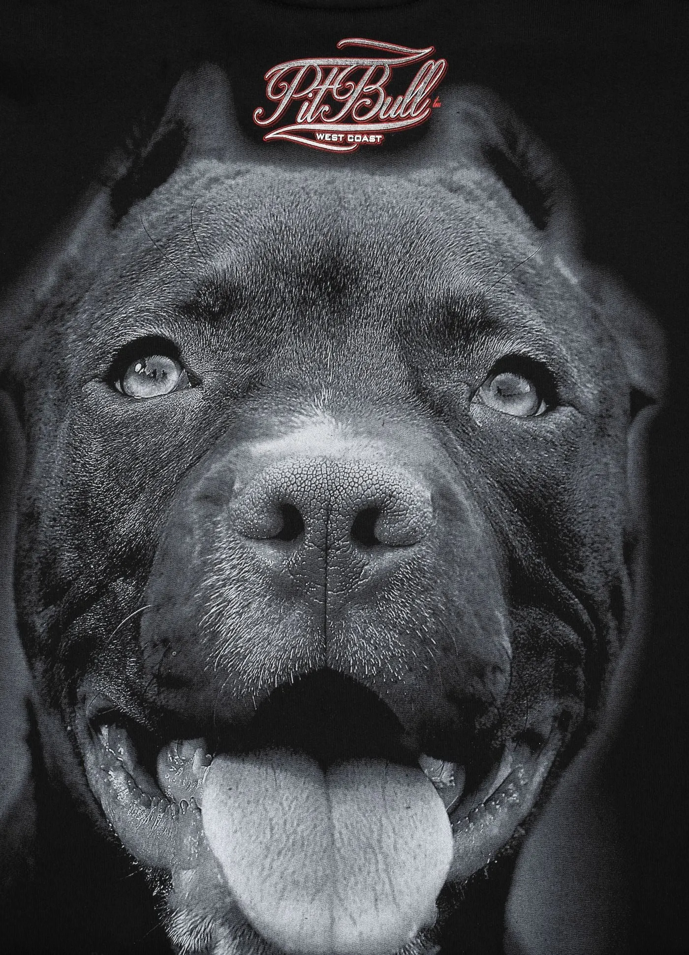 Crewneck Pitbull IR