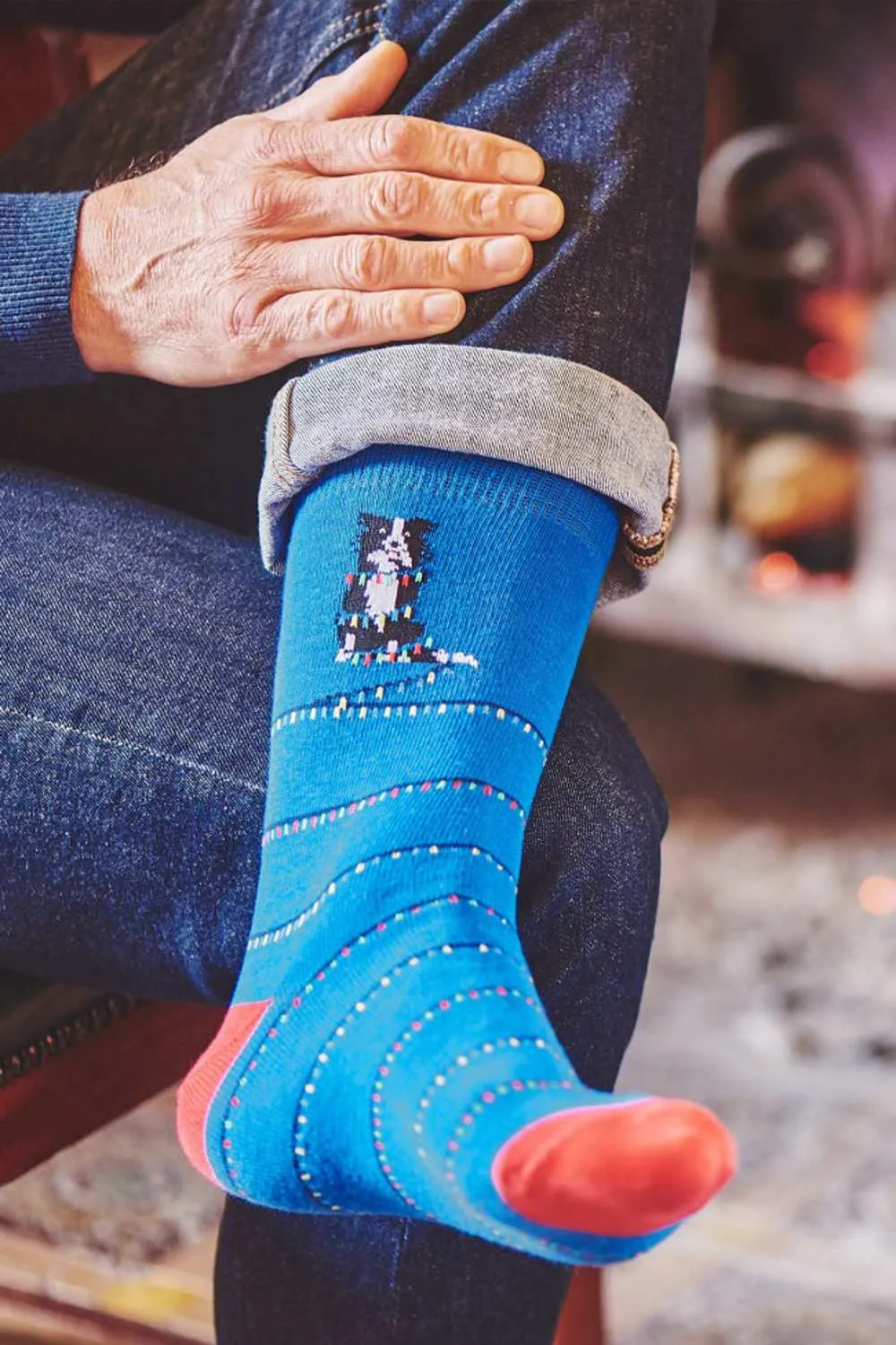 HJ Hall Dog With Christmas Lights Cotton Rich Socks HJ Accessories
