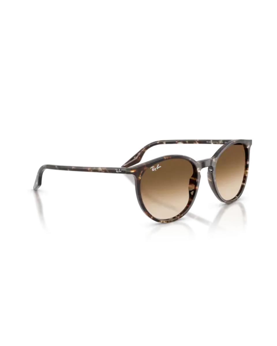 Ray-Ban Sunglasses RB2204 Sunglasses in Polished Havana Yellow Tortoiseshell