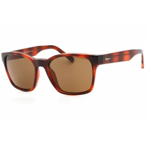 Salvatore Ferragamo Women's Sunglasses - Tortoise Plastic Full Rim Frame | SF959S 214 Salvatore Ferragamo Sunglasses