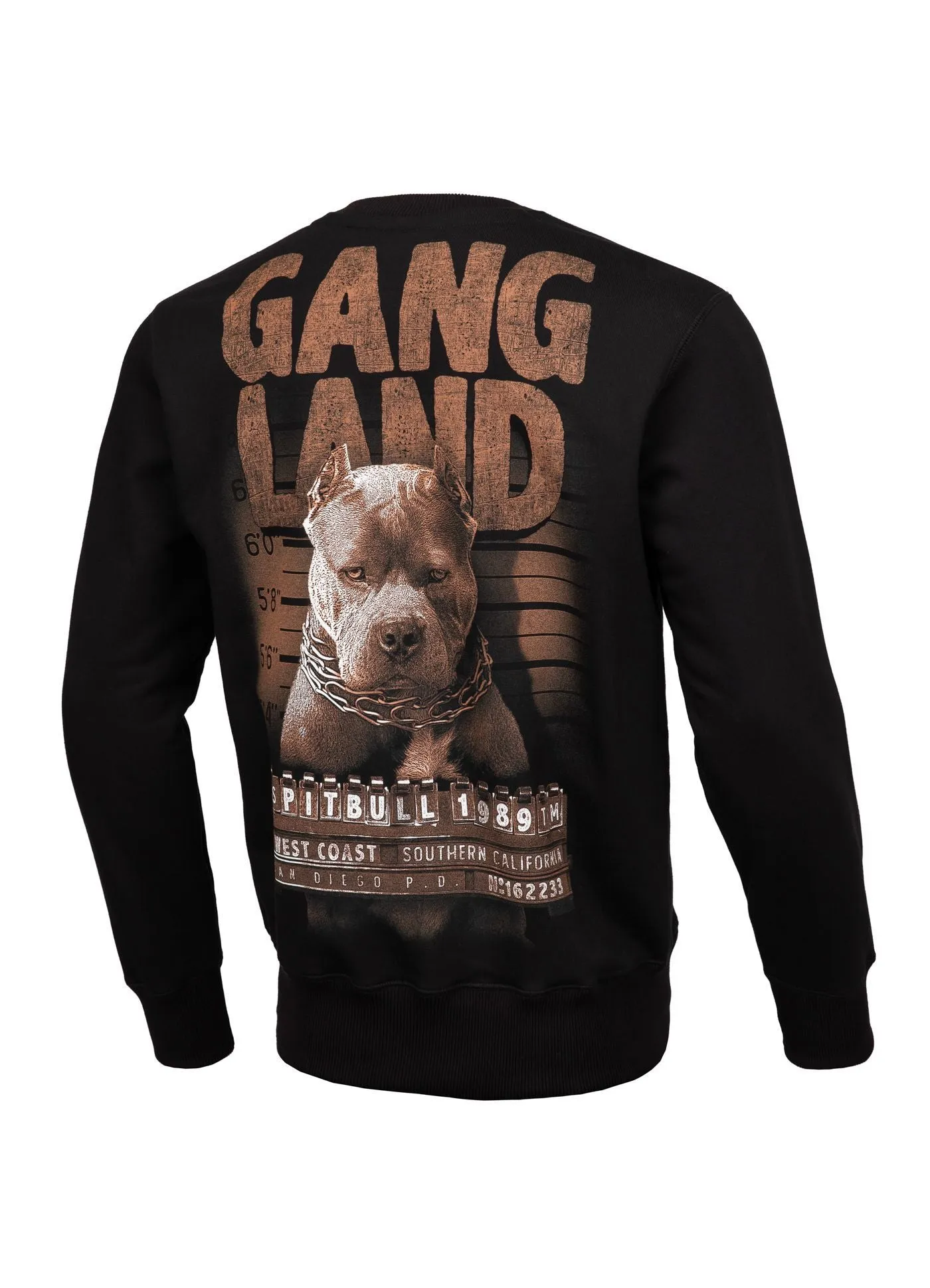 Sweatshirt Mugshot