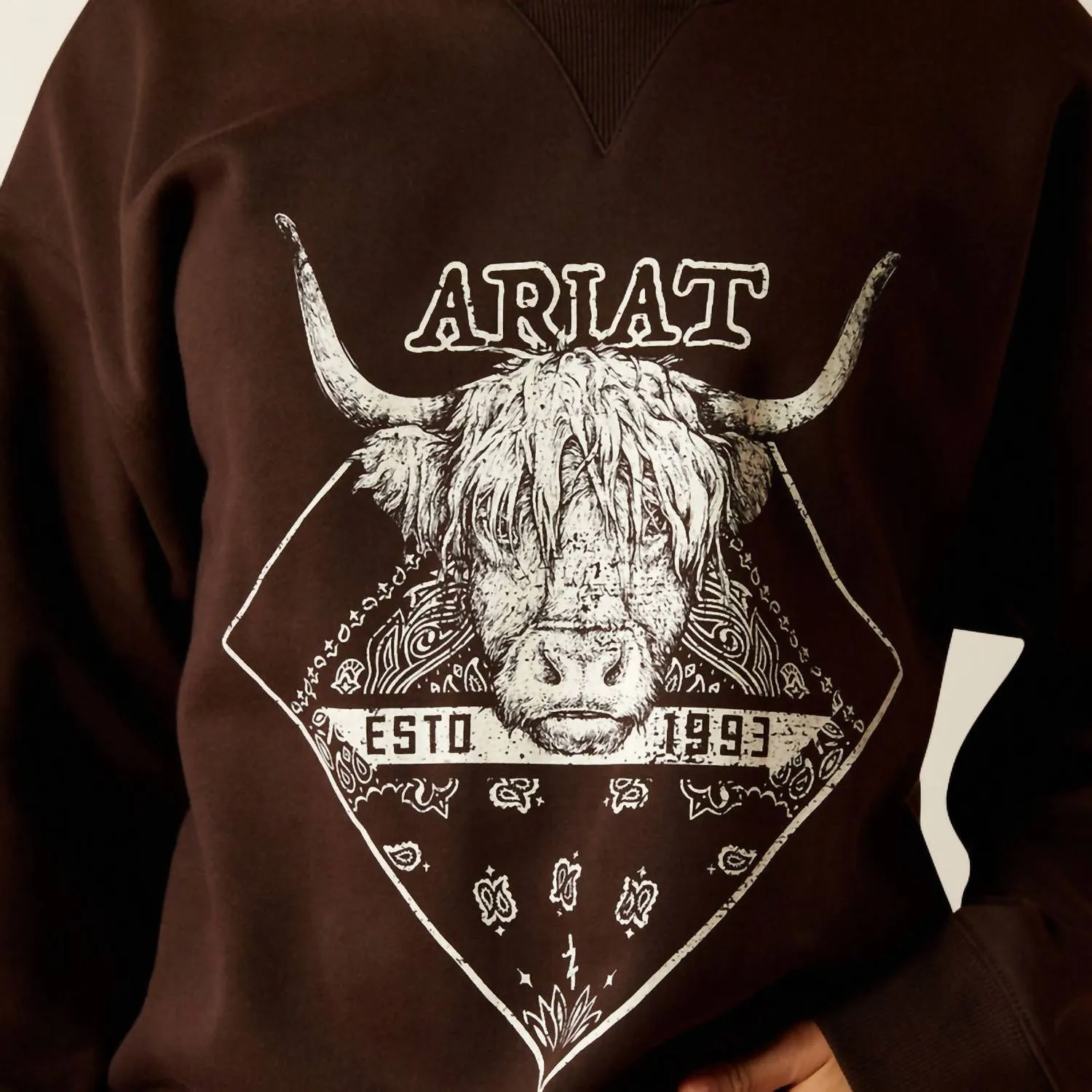 Taurus Oversized Crew Sweatshirt In Mole