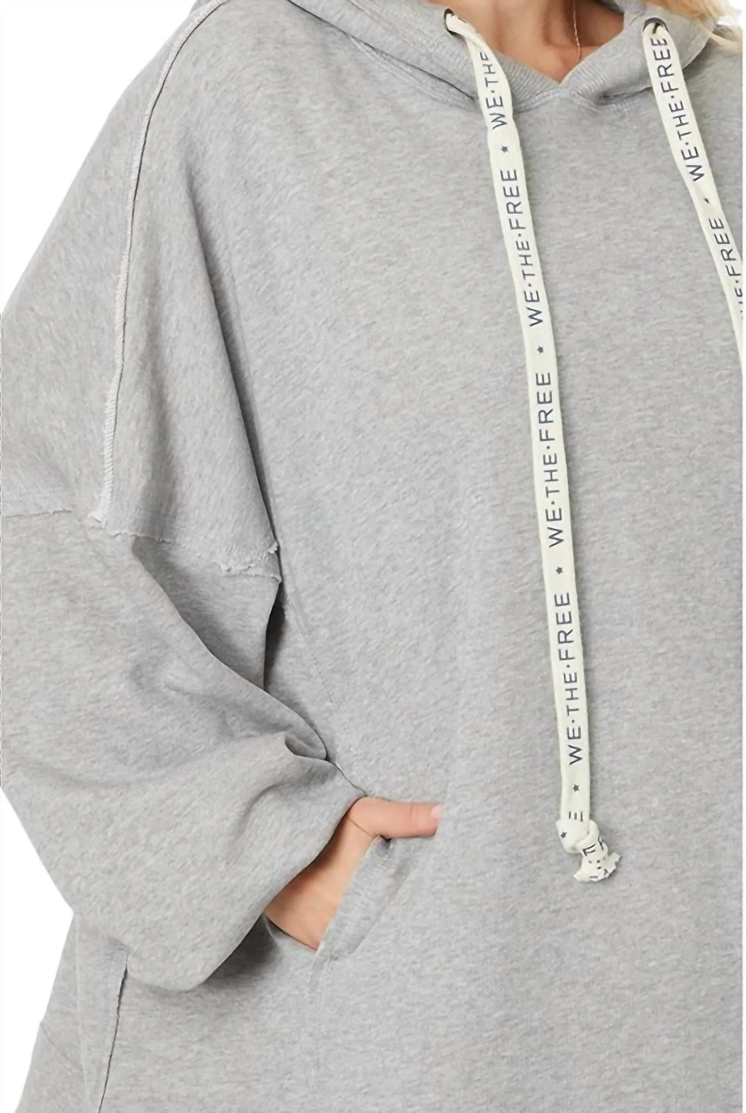 We Hoodie In Heather Grey